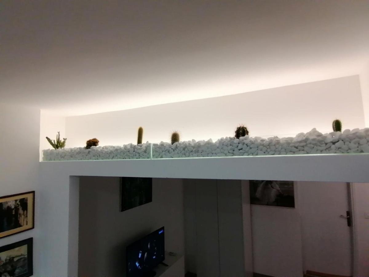 Apartman Dunja S Belgrado Exterior foto